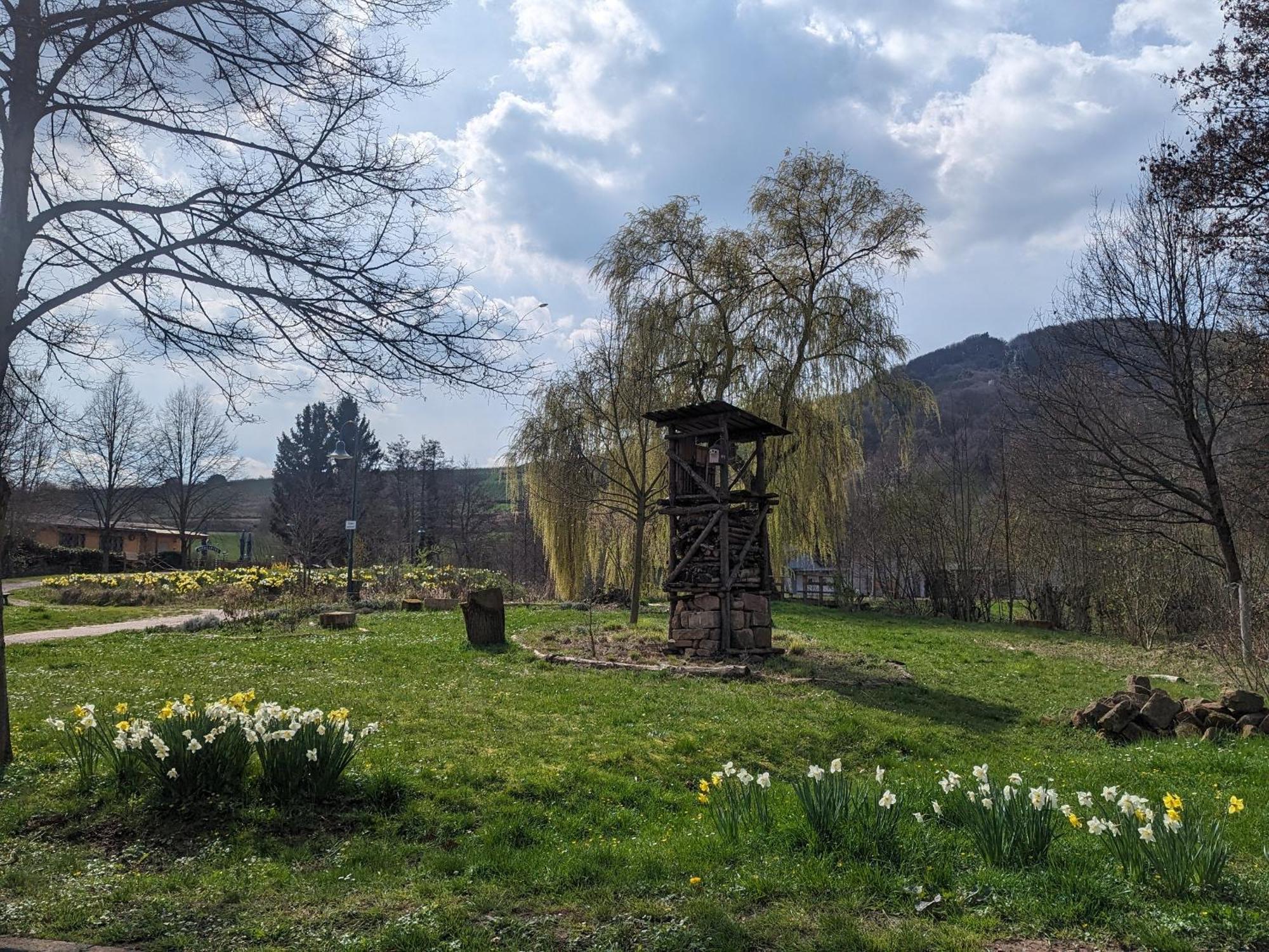 Ferienhaus Am Park Klingenmünster Eksteriør billede