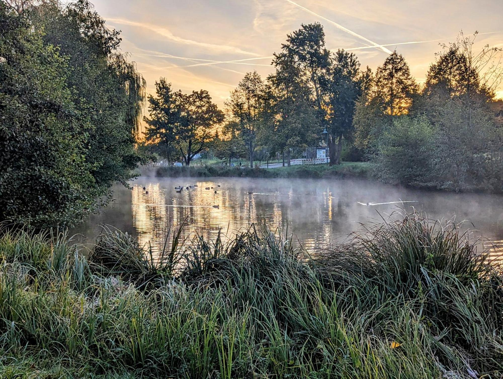 Ferienhaus Am Park Klingenmünster Eksteriør billede